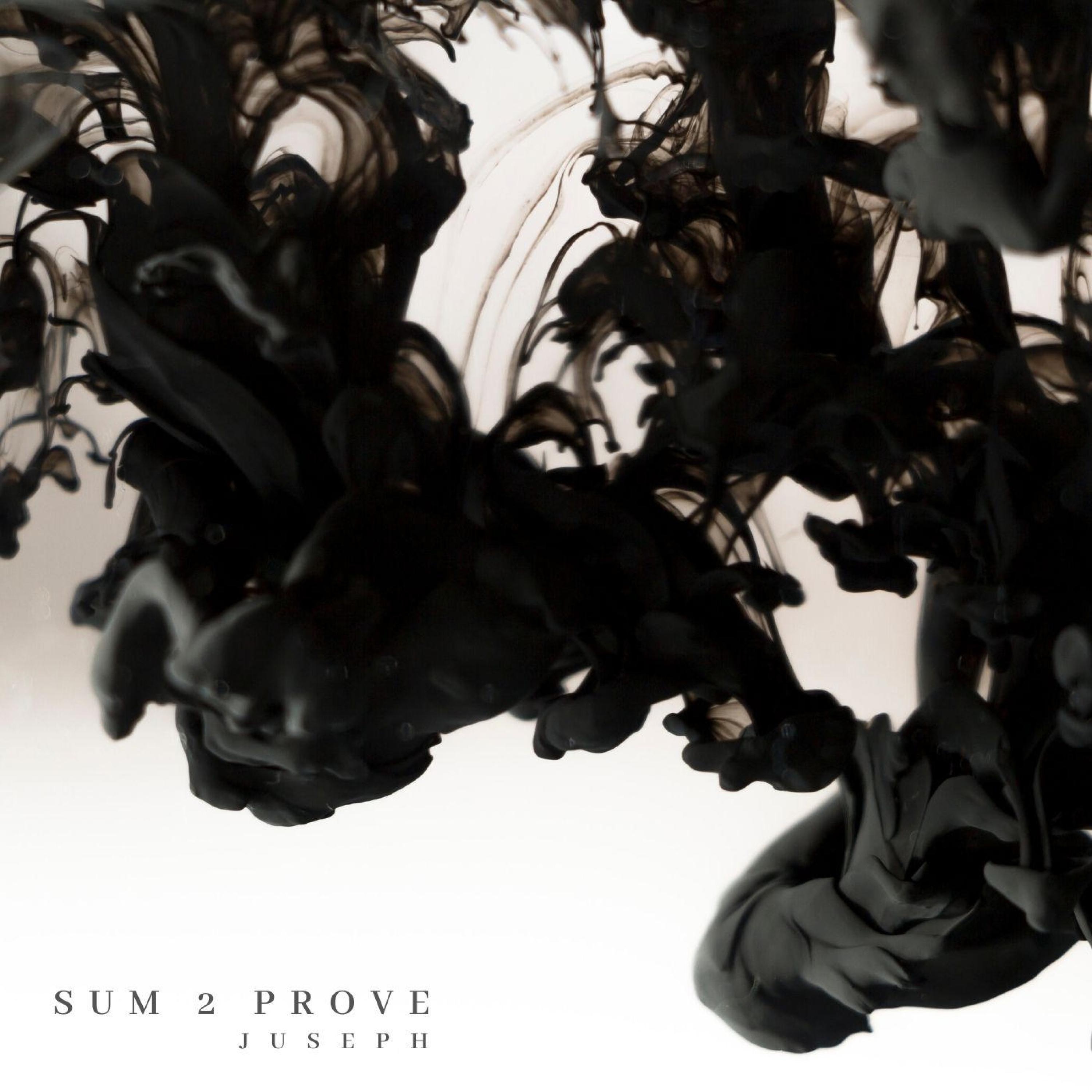 Sum 2 prove (Spanish Remix) - Single album cover