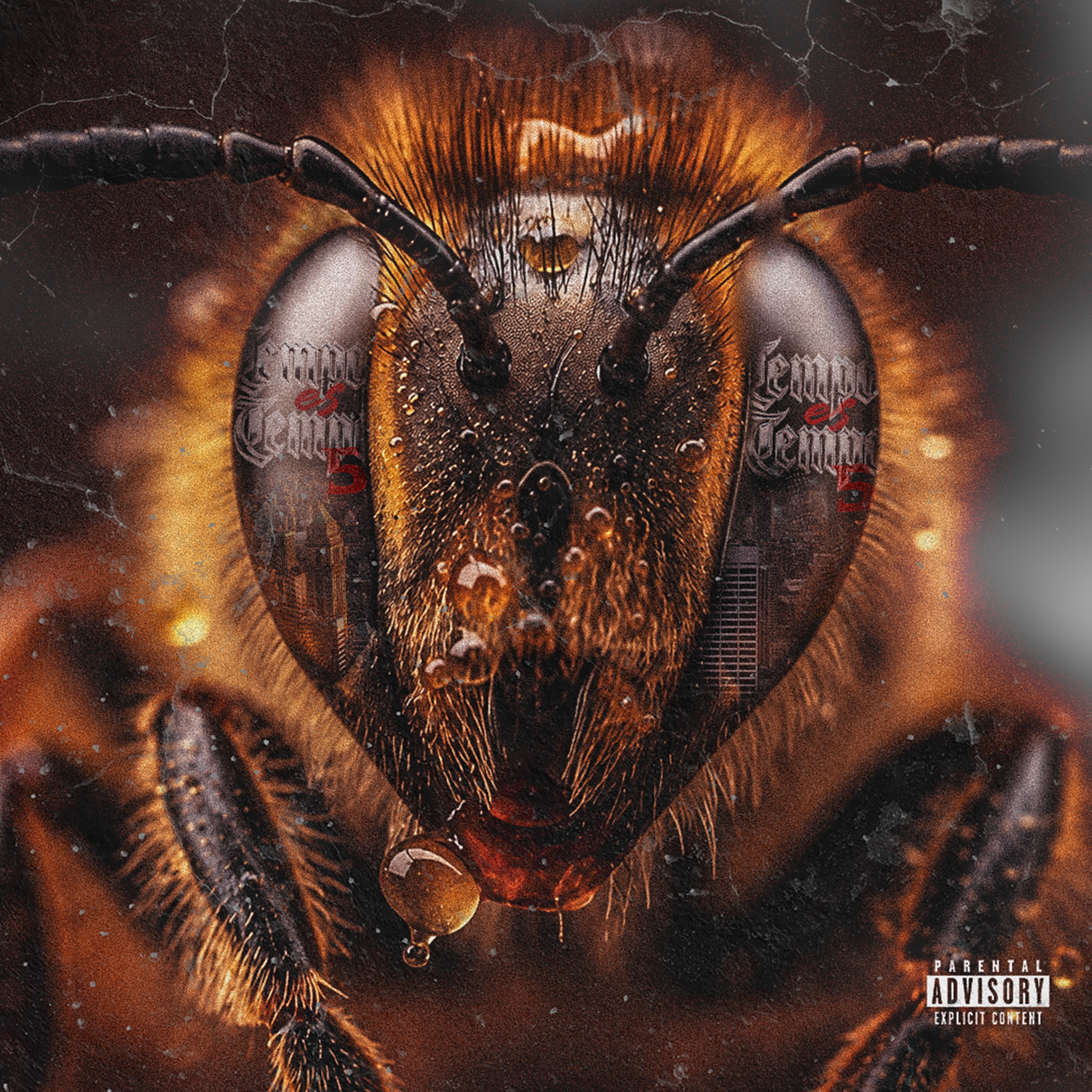 Tempo Es Tempo 5 - EP album cover