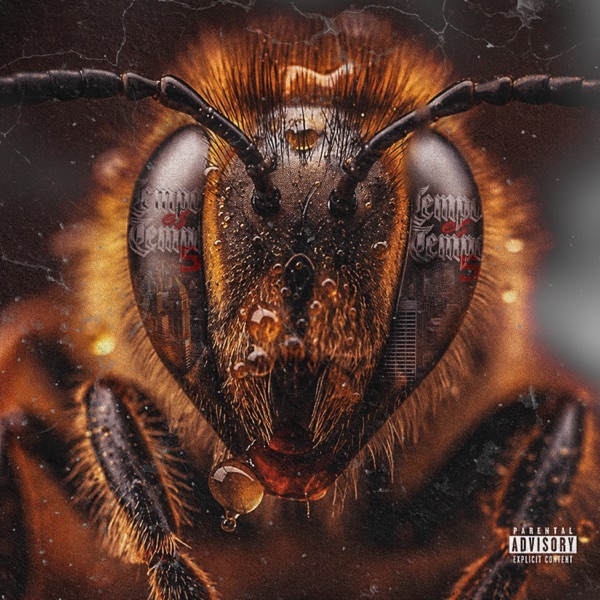 Tempo Es Tempo 5 - EP album cover