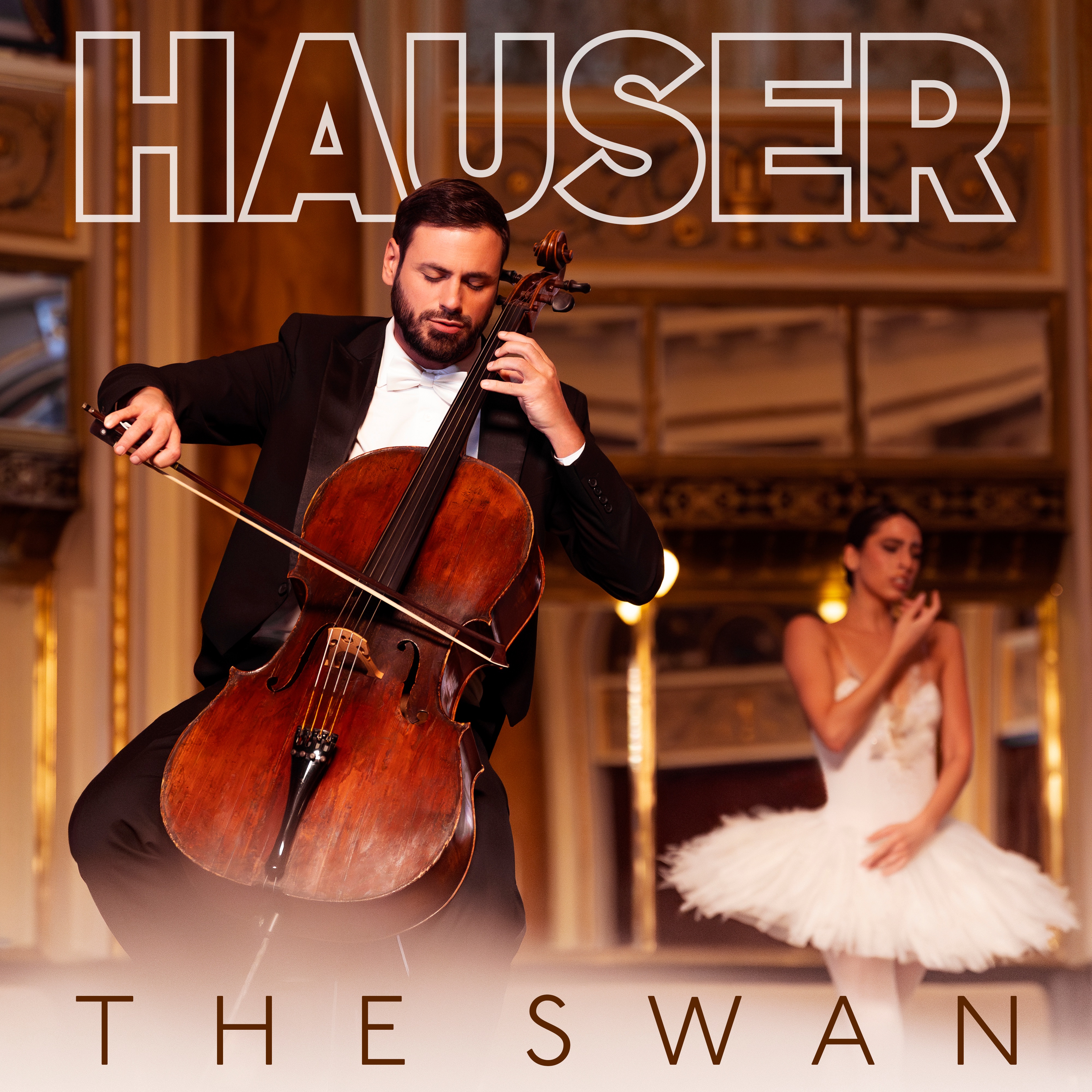 The Swan album cover