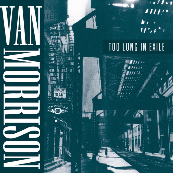 Too Long in Exile album cover