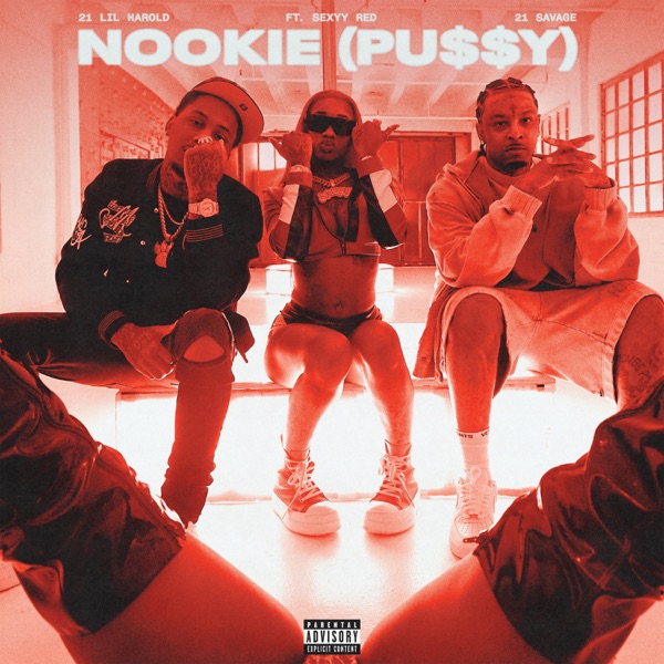 Nookie (Pu$$y) [feat. Sexyy Red] - Single album cover