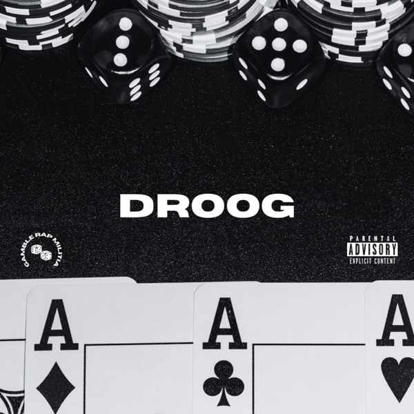 DROOG (feat. SeanLevel) - Single album cover