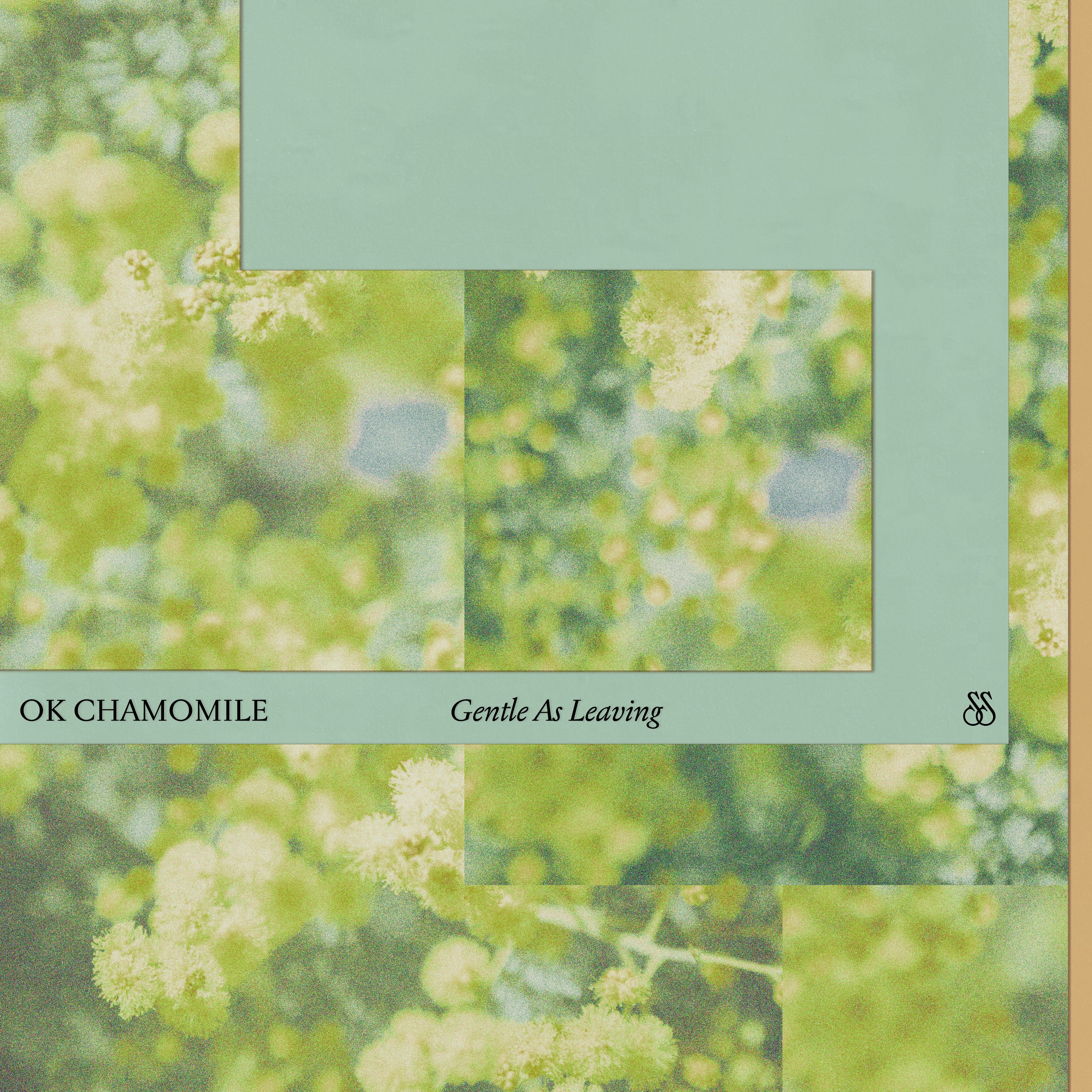 Gentle As Leaving album cover