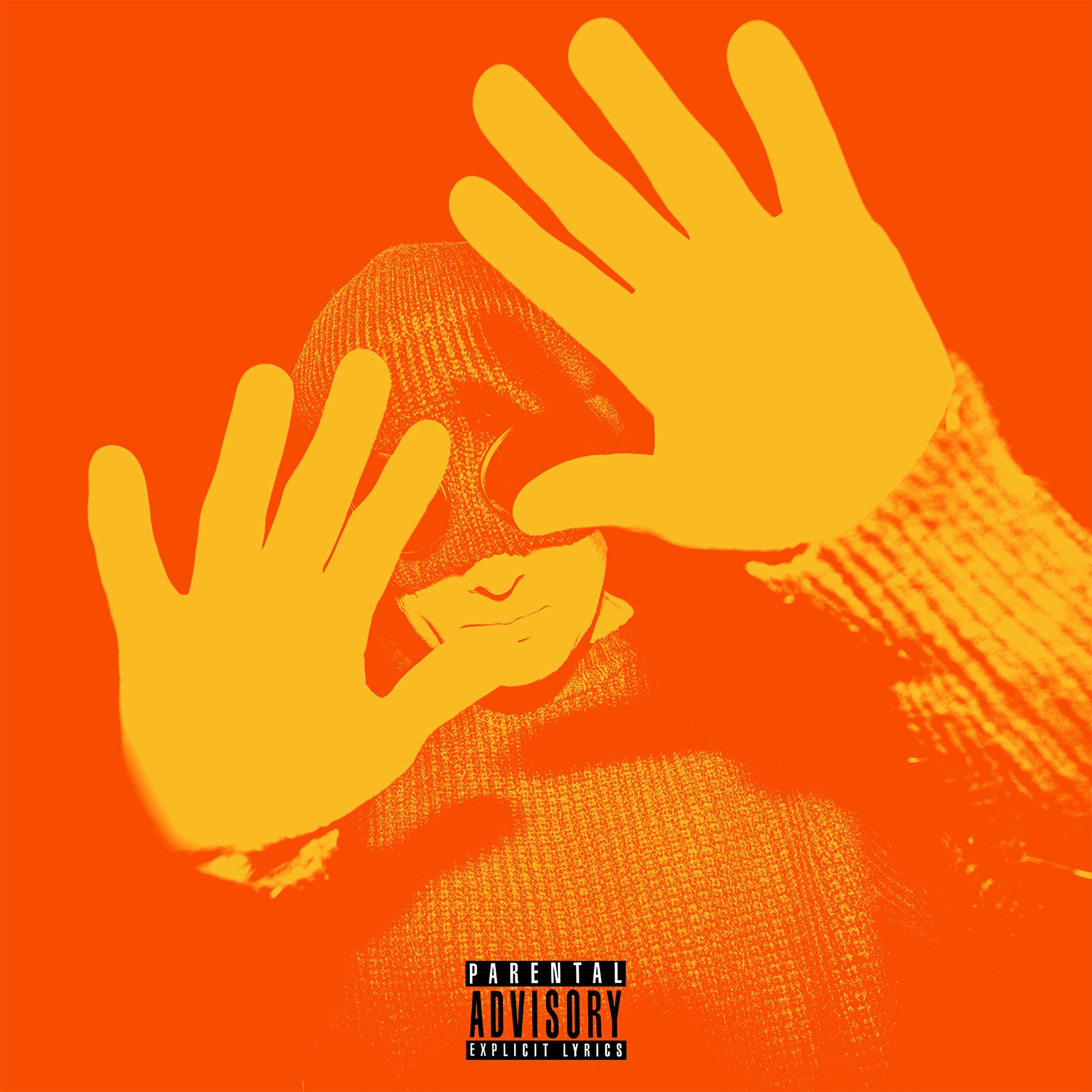 Maximum Joy album cover