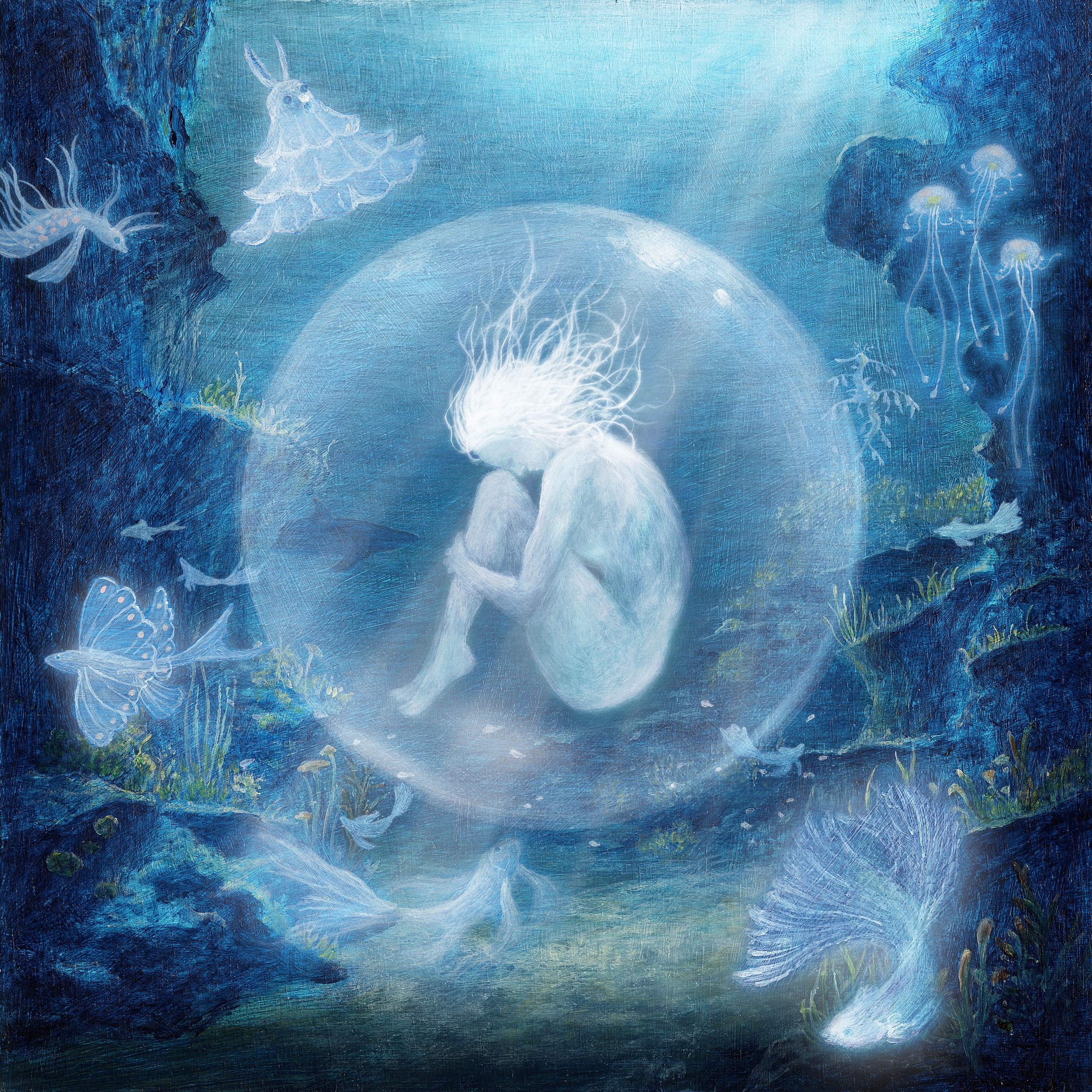 oyster album cover