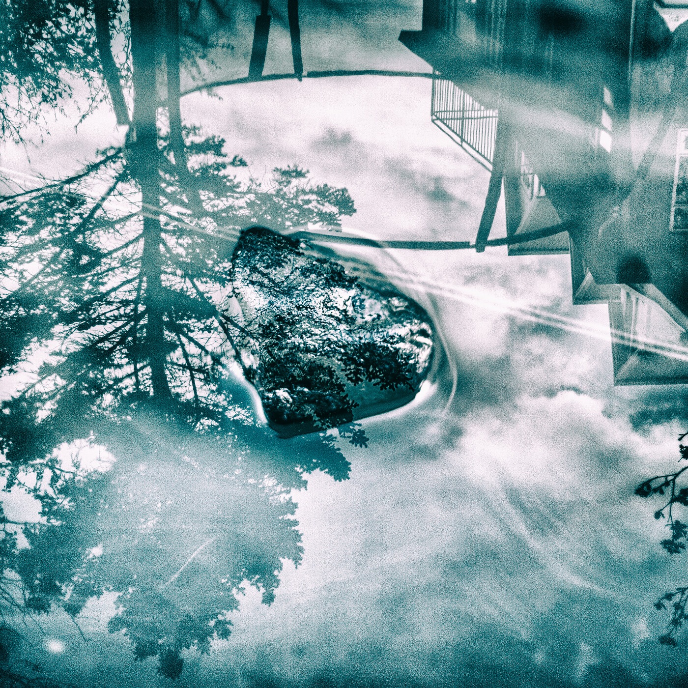 Ljósadúnurt - Single album cover