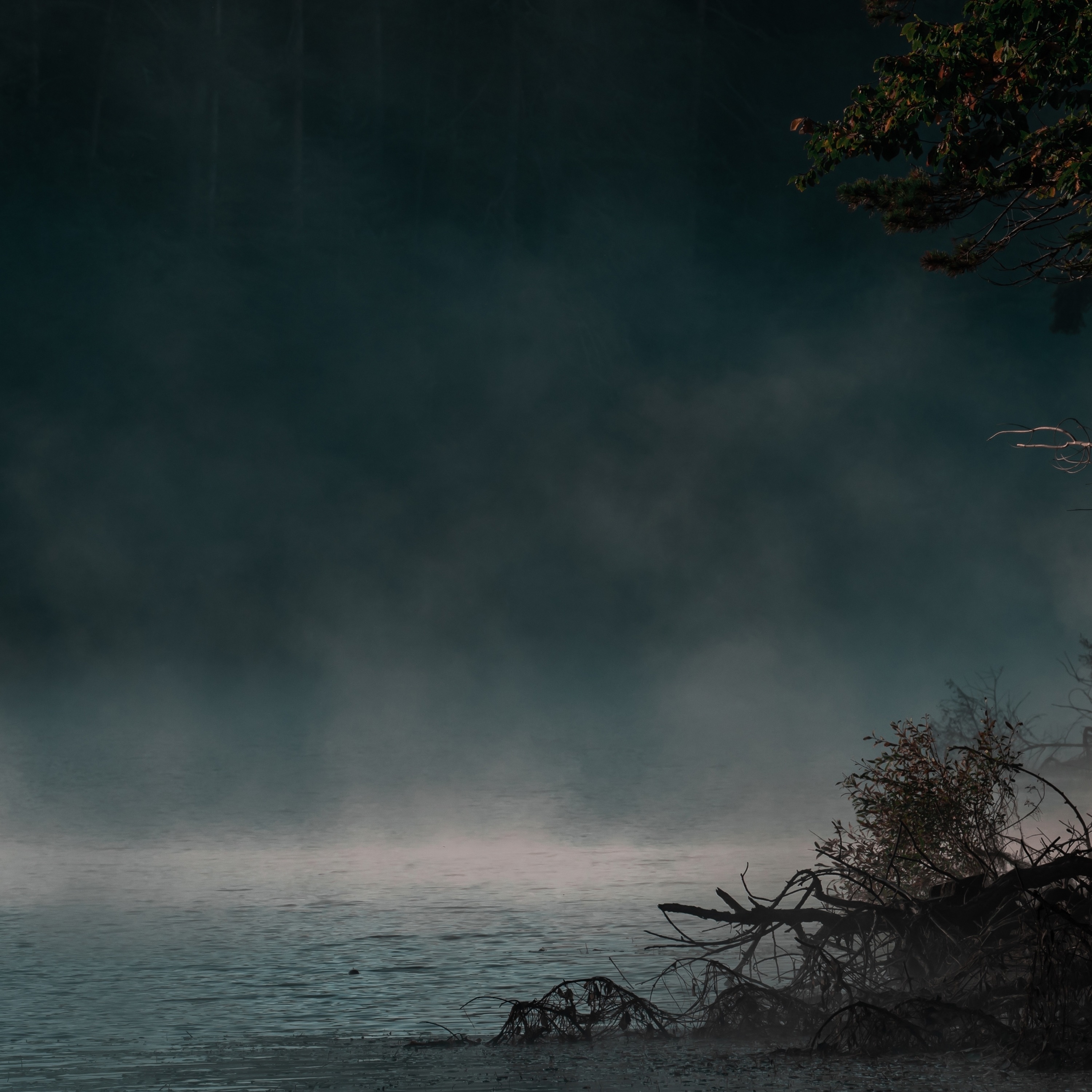 Amaltea - Single album cover