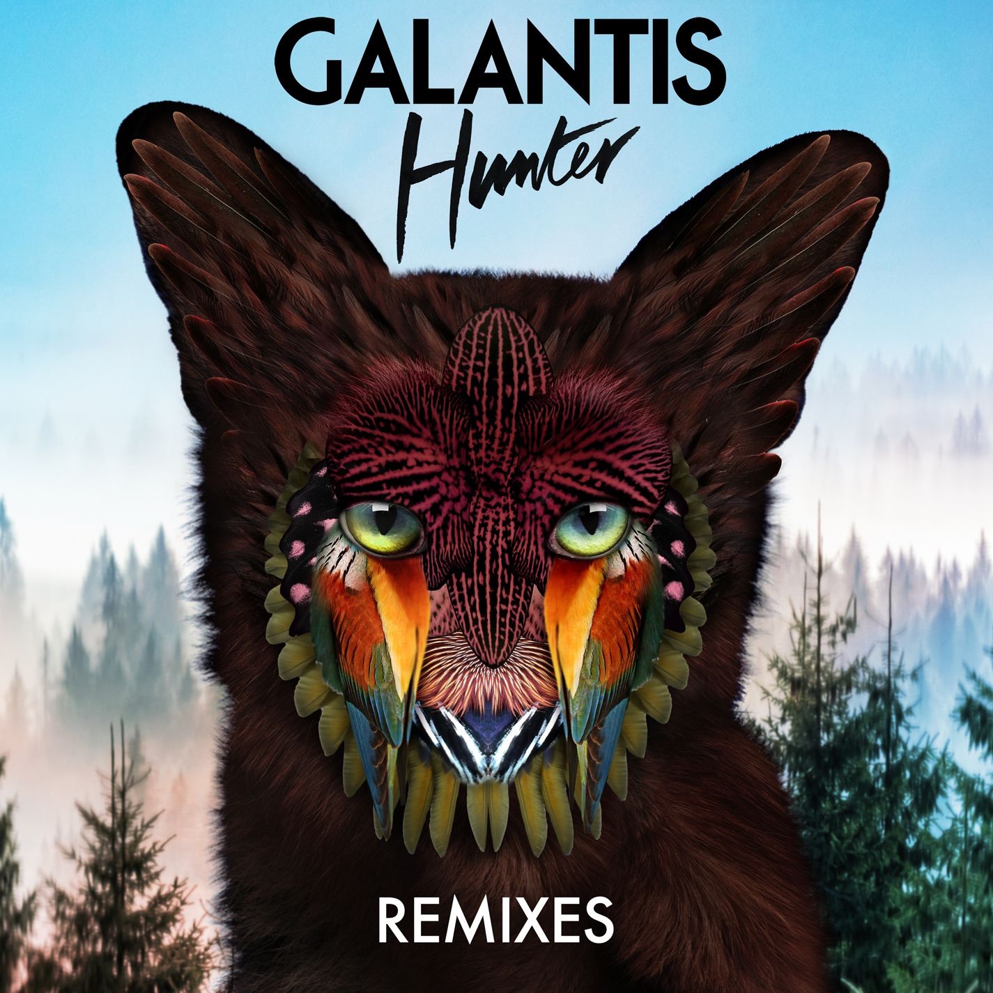 Hunter (Remixes) album cover