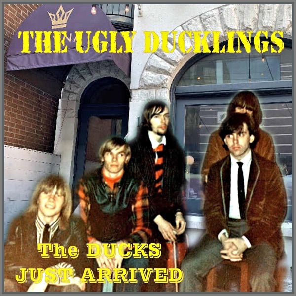 The Ducks Just Arrived - Single album cover