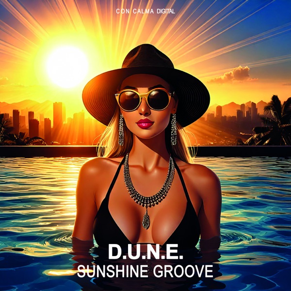 Sunshine Groove - Single album cover