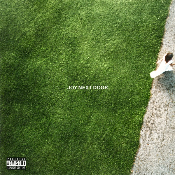 Joy Next Door album cover