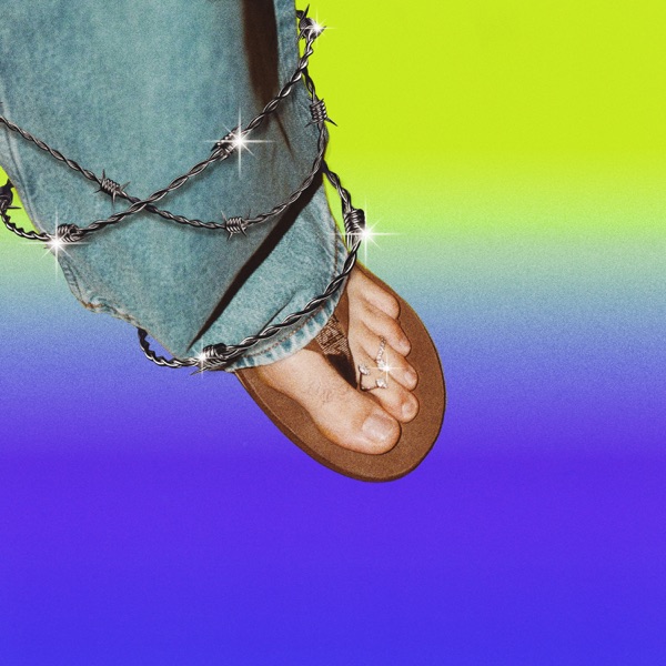 ALAMBRE PúA - Single album cover