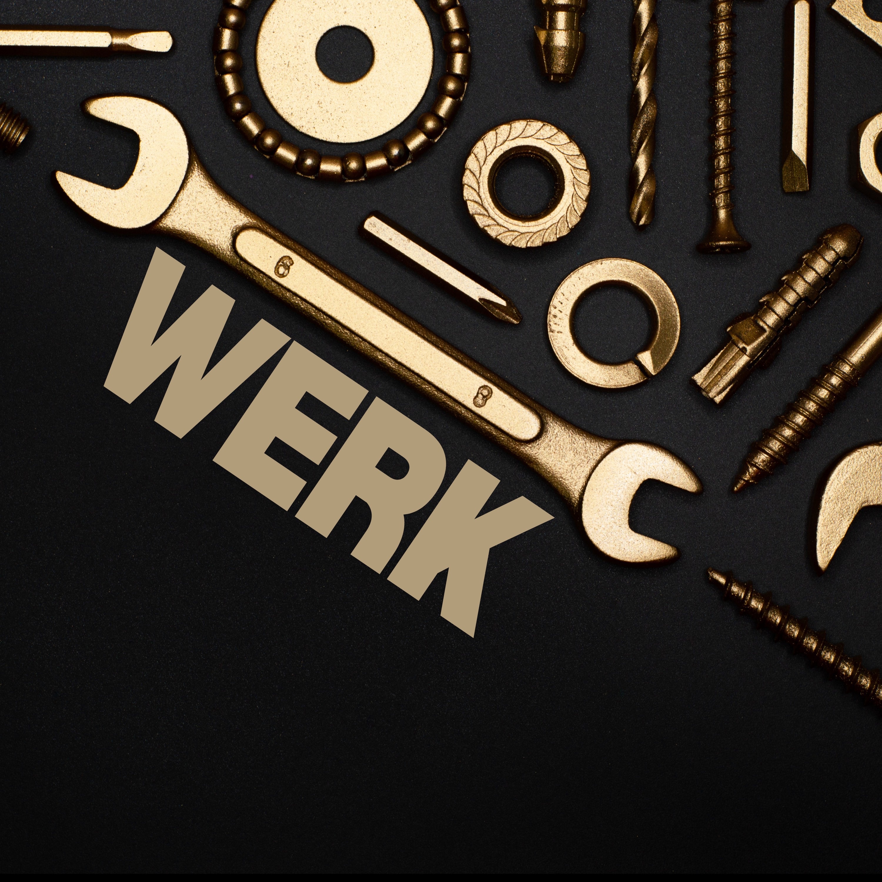 WERK - Single album cover