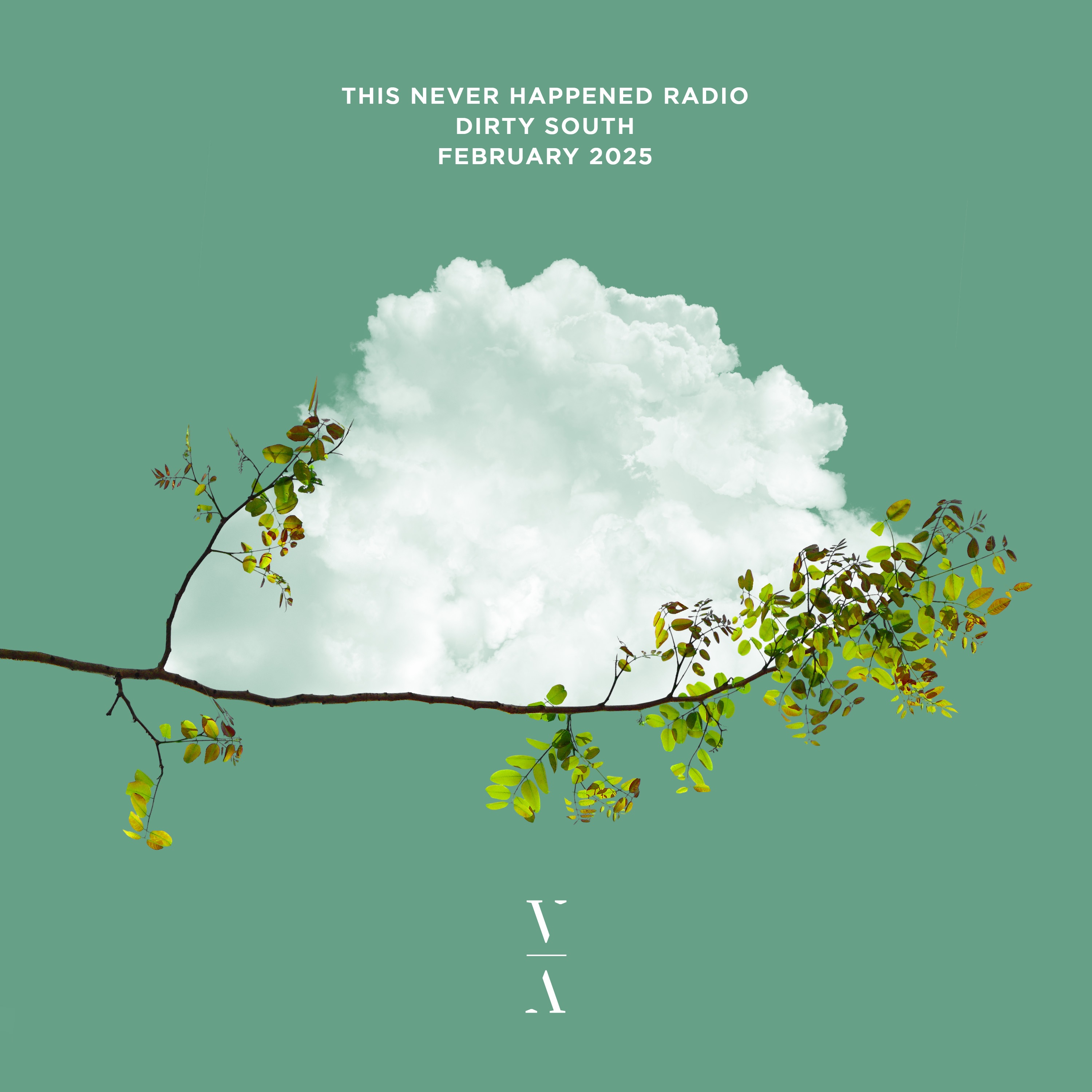 This Never Happened Radio: Dirty South, Feb 2025 (DJ Mix) album cover