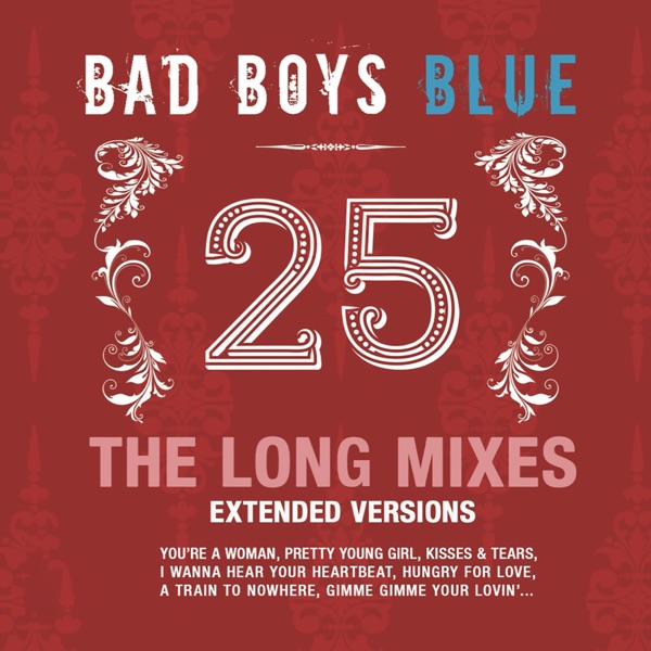 25 (The Long Mixes) album cover