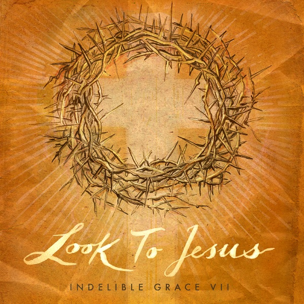 Look to Jesus: Indelible Grace VII (Instrumental Versions) album cover