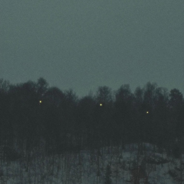 thank you for the story (feat. Ornithology) - Single album cover