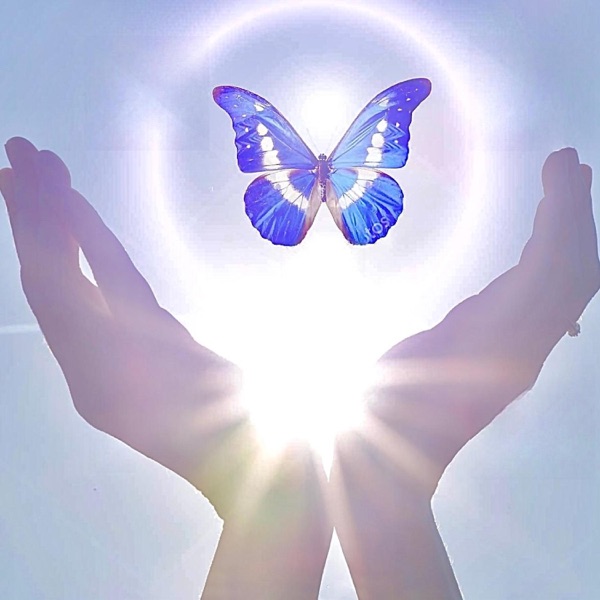 Schmetterling - Single album cover