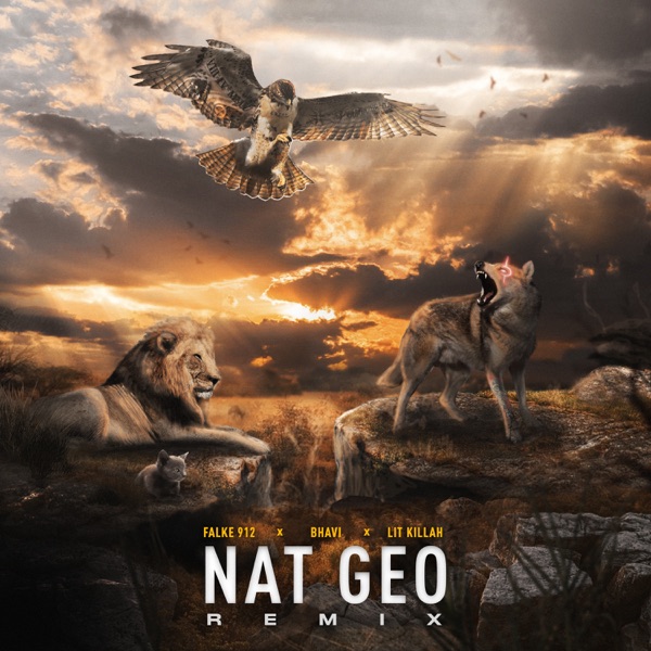 Nat Geo (feat. Lit Killah) [Remix] - Single album cover