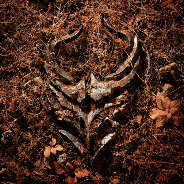 Light Bends - Single album cover