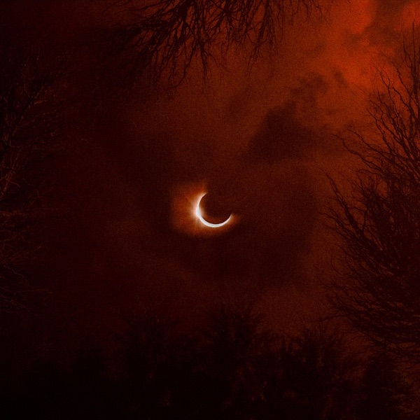 Will You Love Me When I’m Dead (Unplugged) - Single album cover