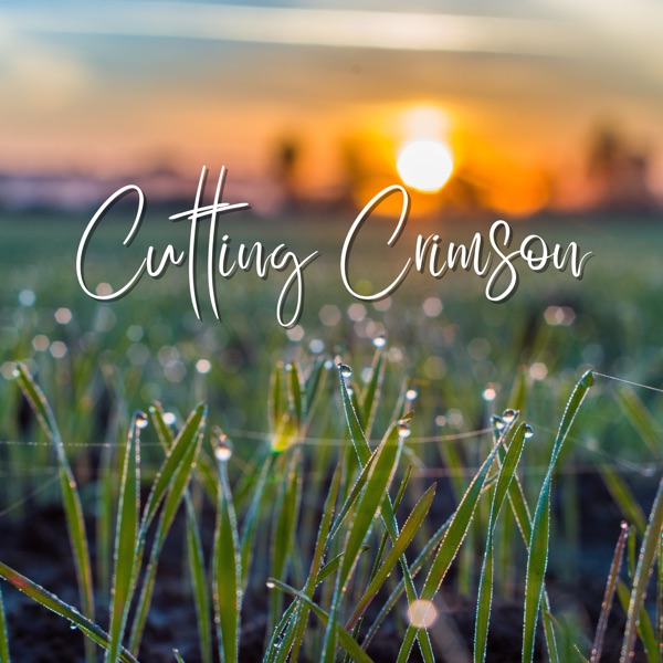 Cutting Crimson - Single album cover