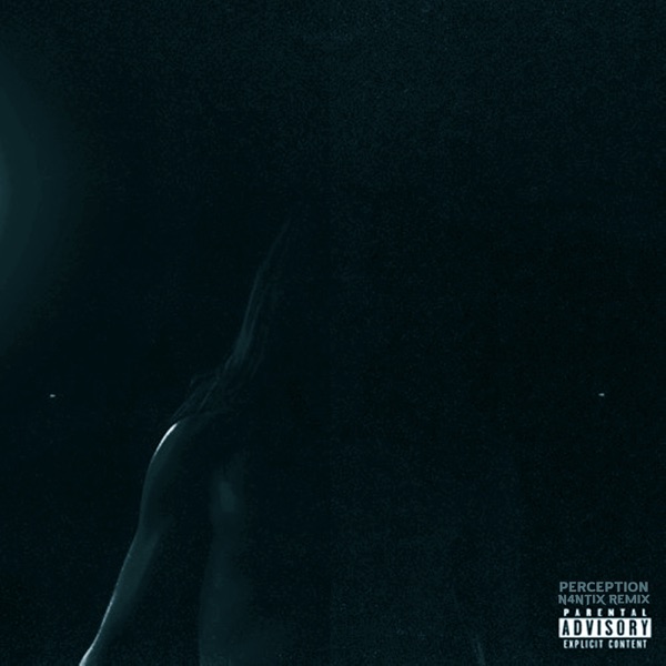 Perception Phonk (feat. Killstation) - Single album cover