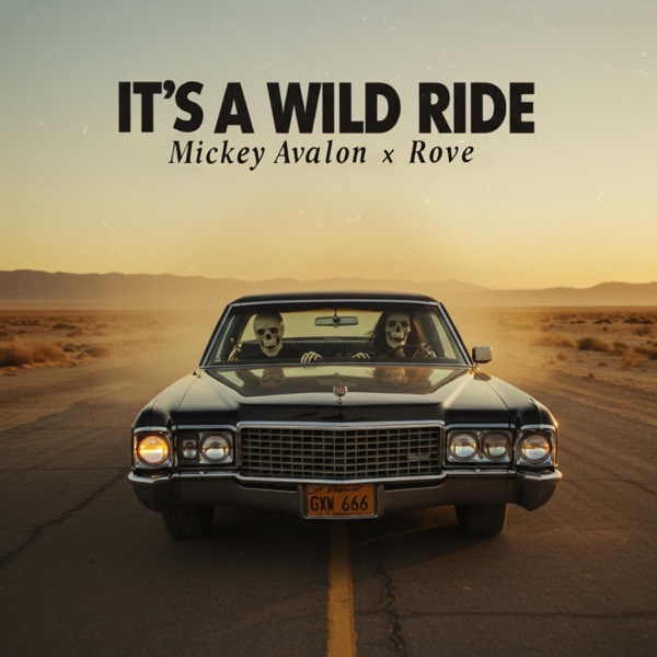 It's A Wild Ride - Single album cover