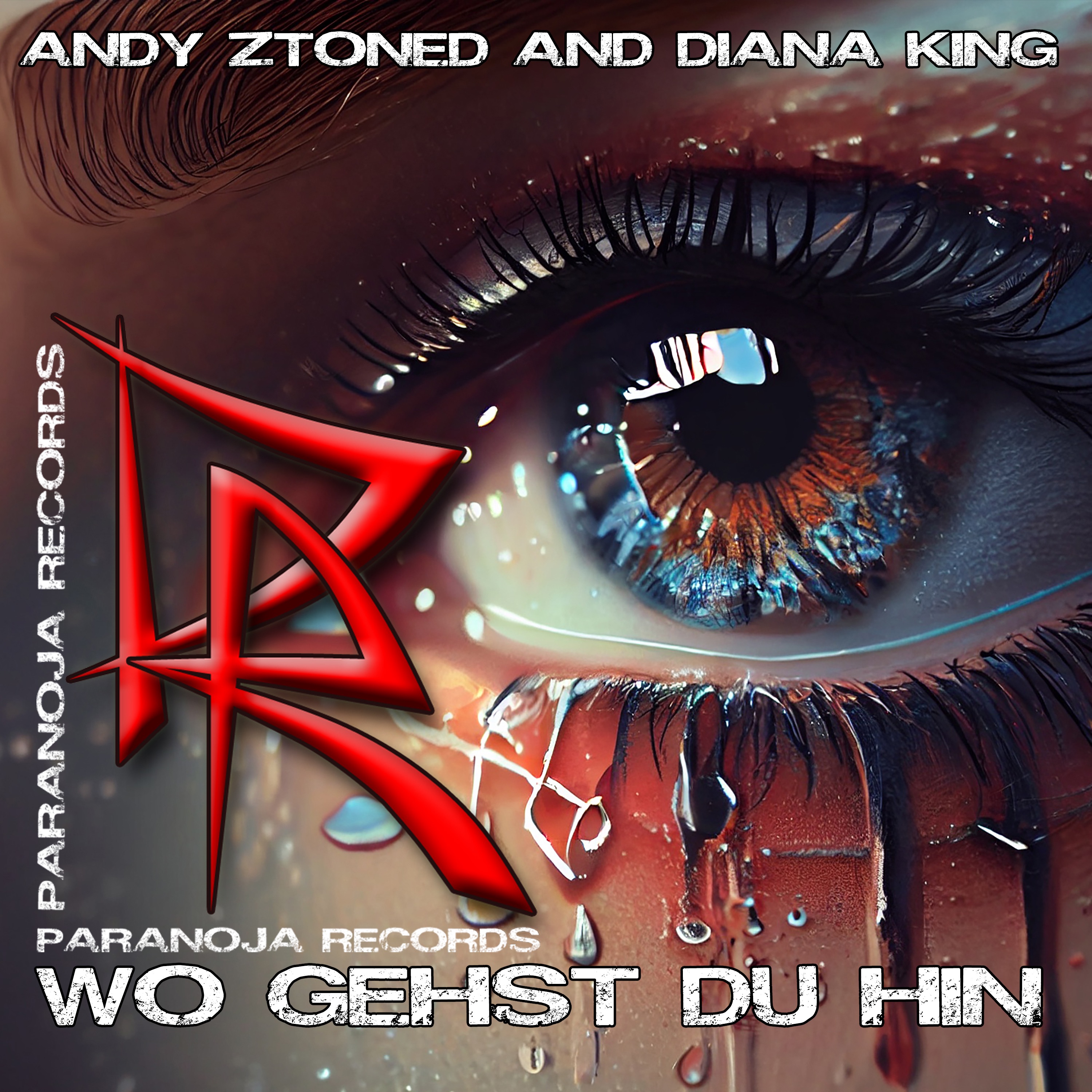 Wo Gehst du Hin - Single album cover