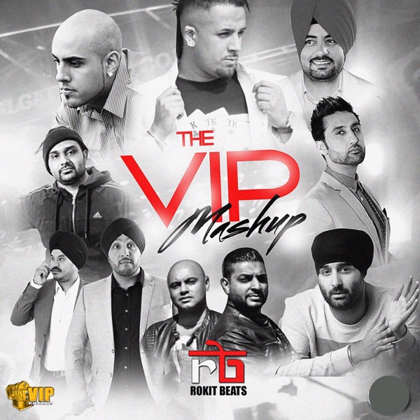 The VIP Mashup (feat. DJ Harpz, MC Special, Lehmber Hussainpuri, Bups Saggu, Tru-Skool, JK & Moneysp album cover