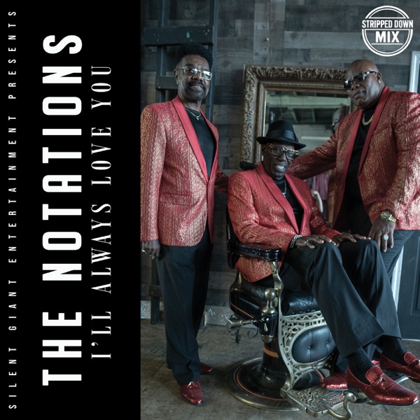 I'll Always Love You (Stripped Down Mix) - Single album cover
