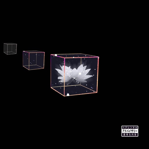 Flor de Loto - Single album cover