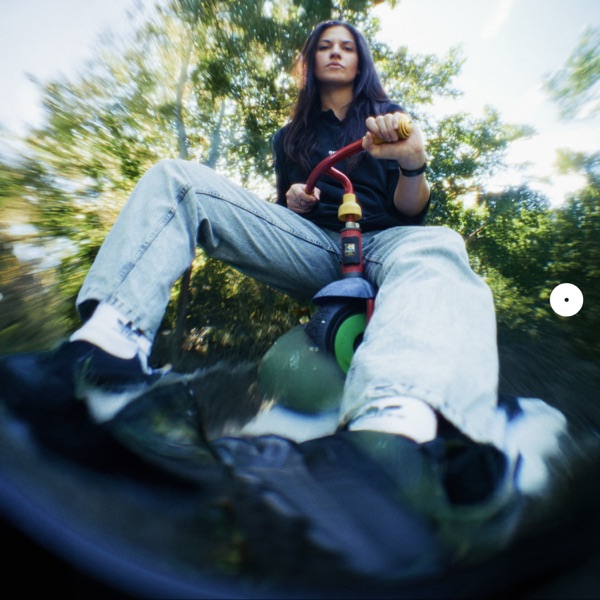 Der Mückenschwarm (Kaufmann (DE) 20yrs SVT Remix) - Single album cover