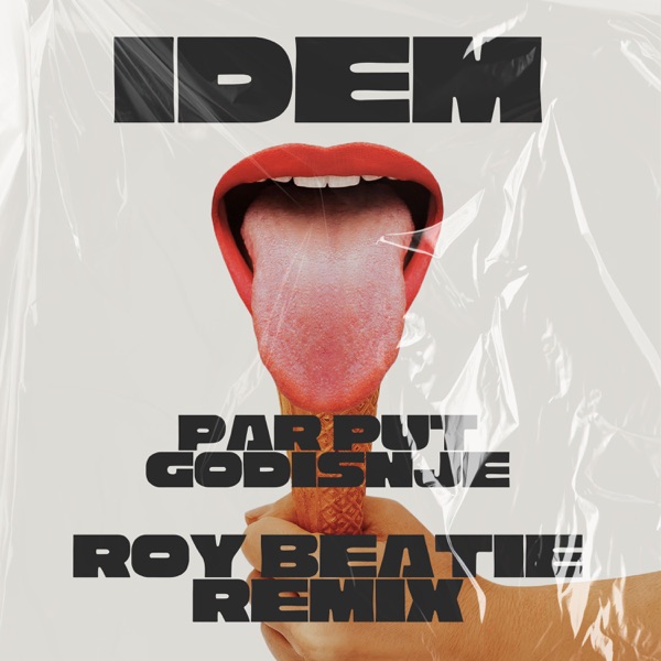 Par Put Godišnje (Roy Beatie Remix) - Single album cover