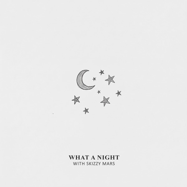 What a Night - Single album cover
