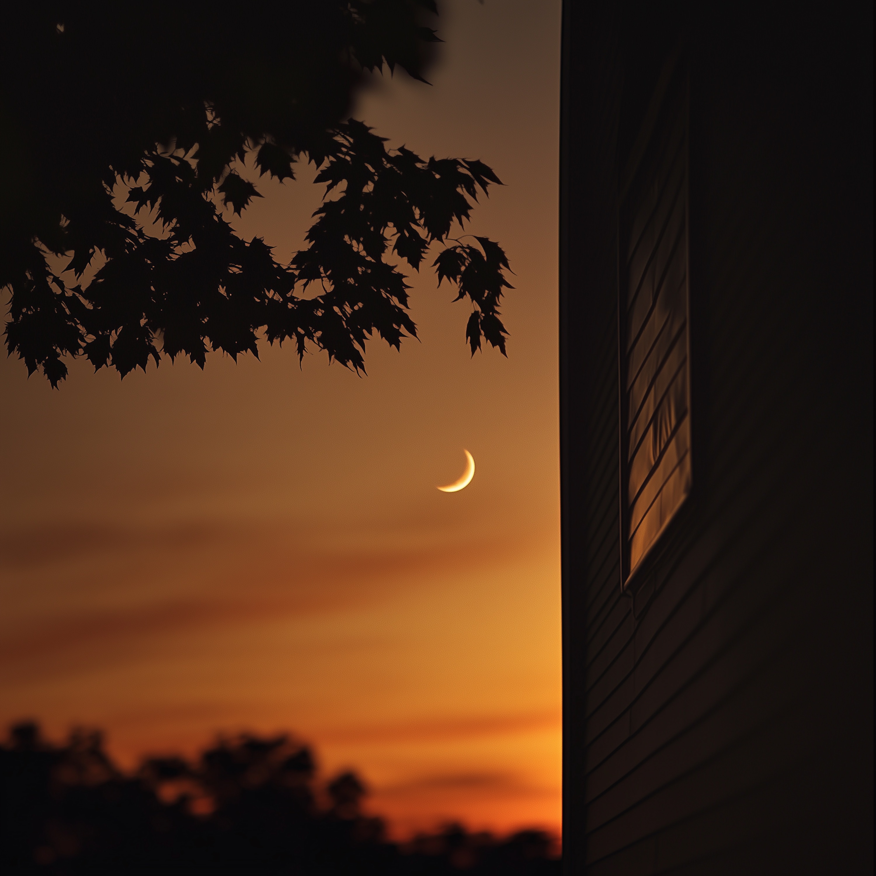 with you - Single album cover