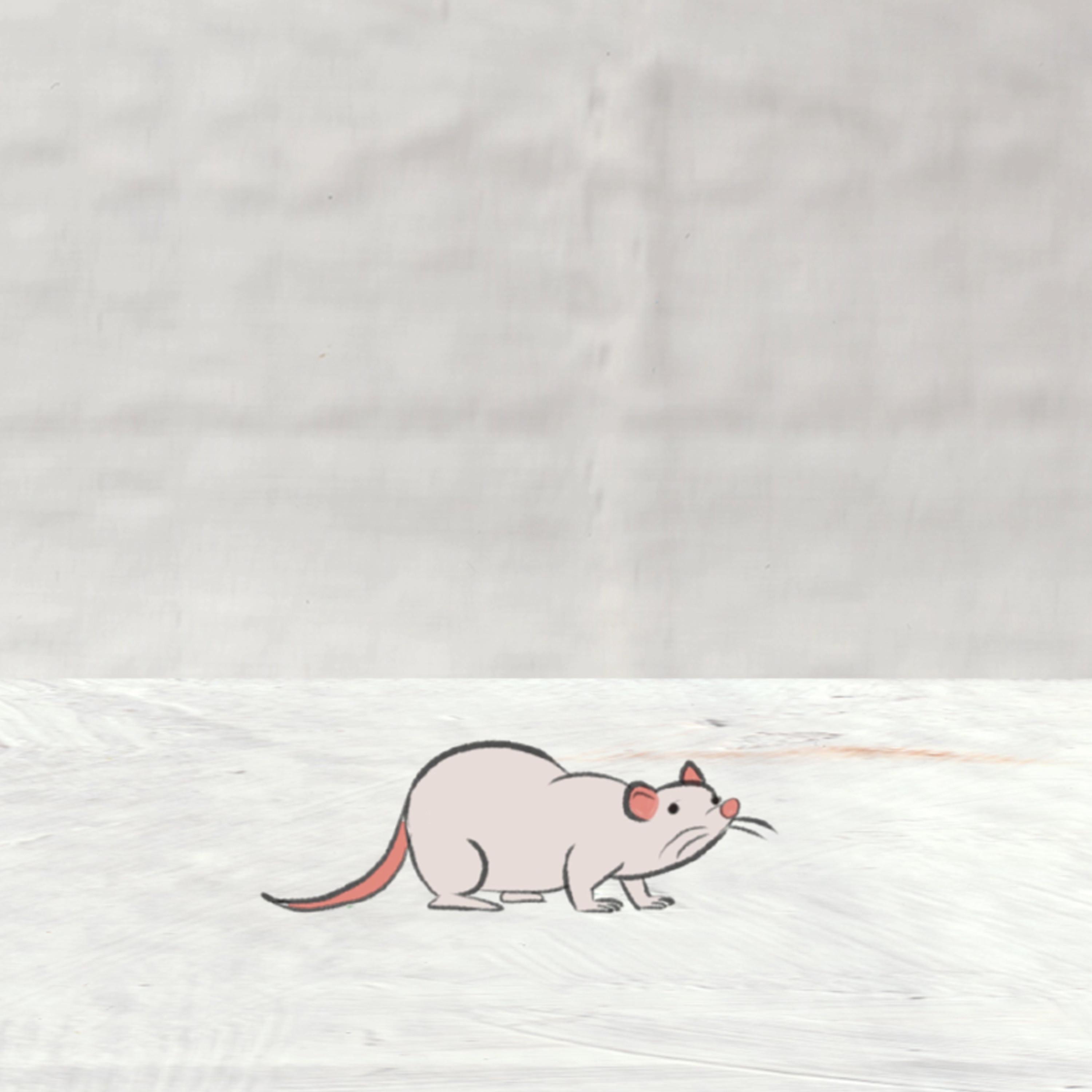 Euthanasia - EP album cover