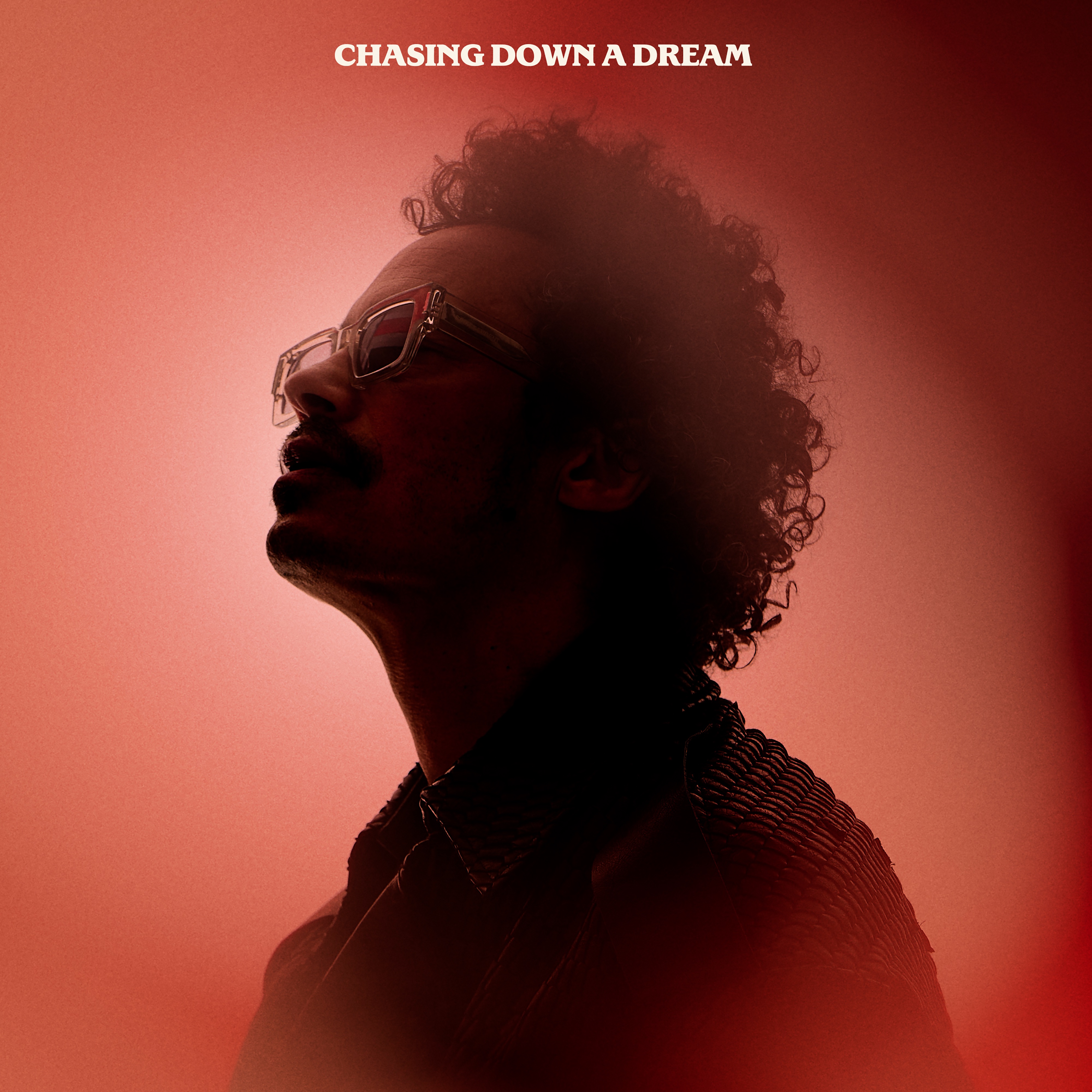 Chasing Down a Dream - Single album cover