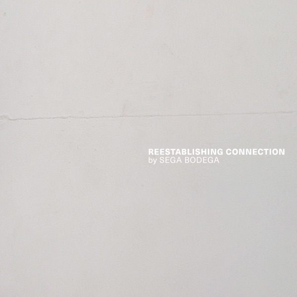 Reestablishing Connection album cover
