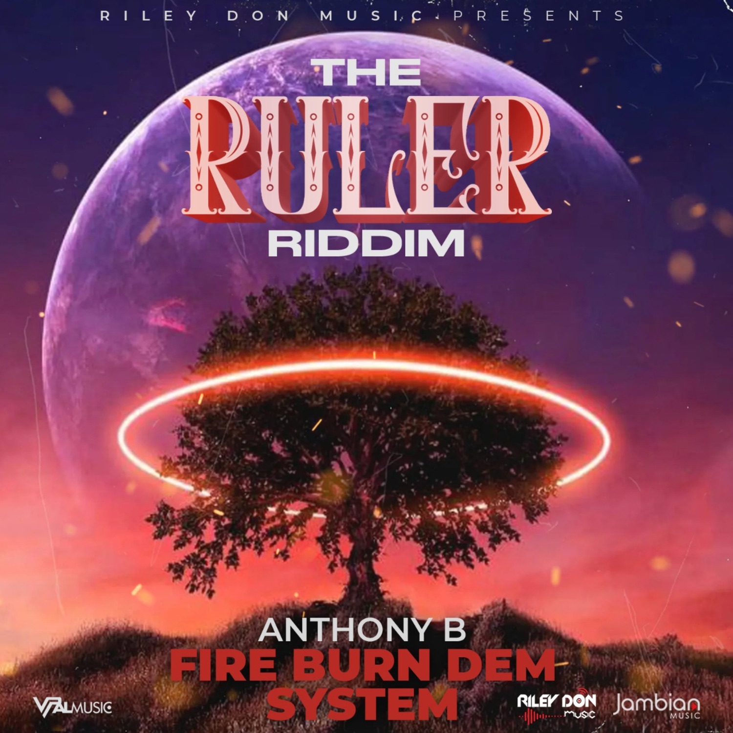 Fire Burn Dem System - Single album cover