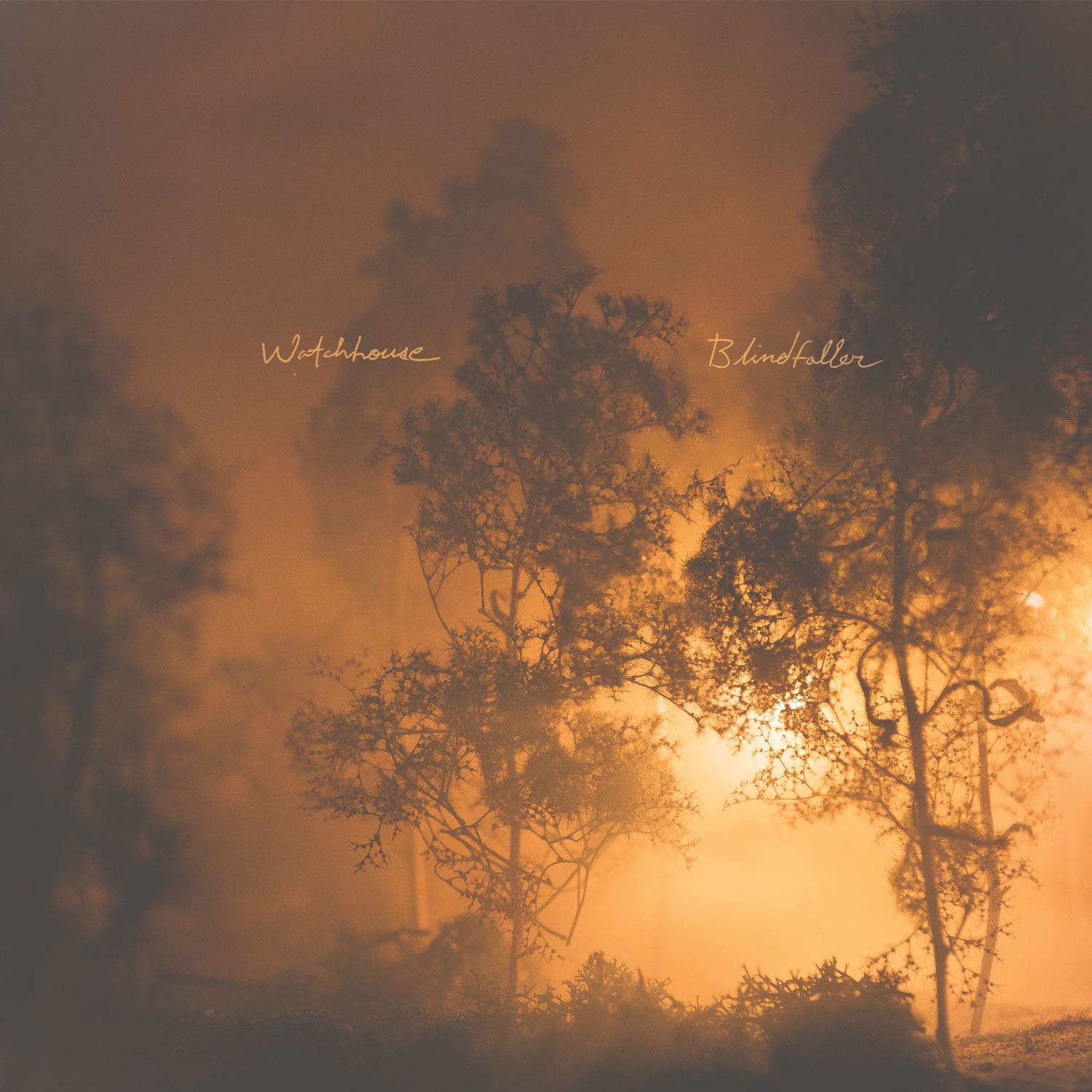 Blindfaller album cover