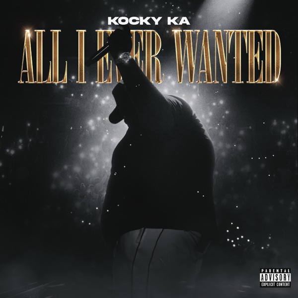 All I Ever Wanted - Single album cover