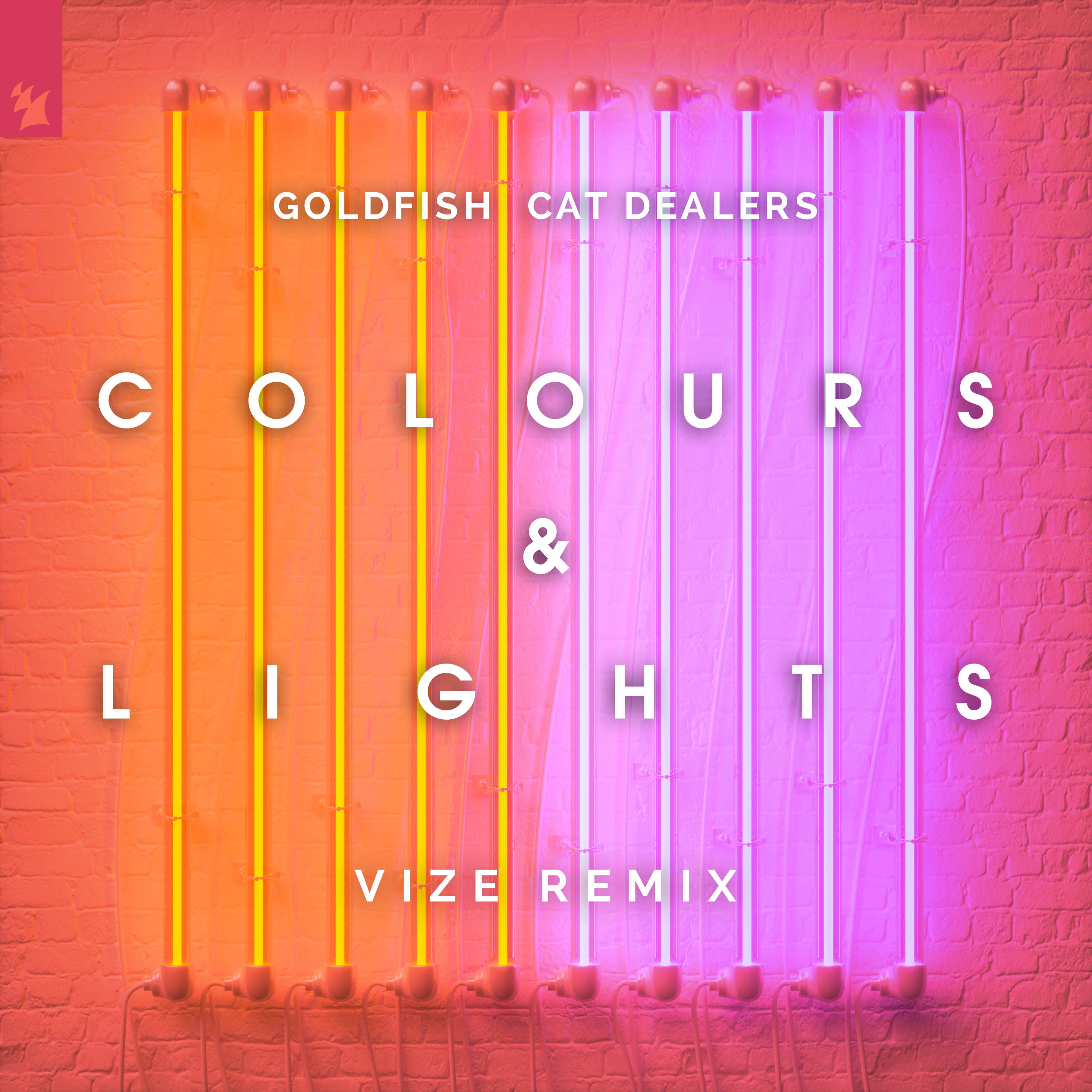 Colours & Lights (Vize Remix) - Single album cover