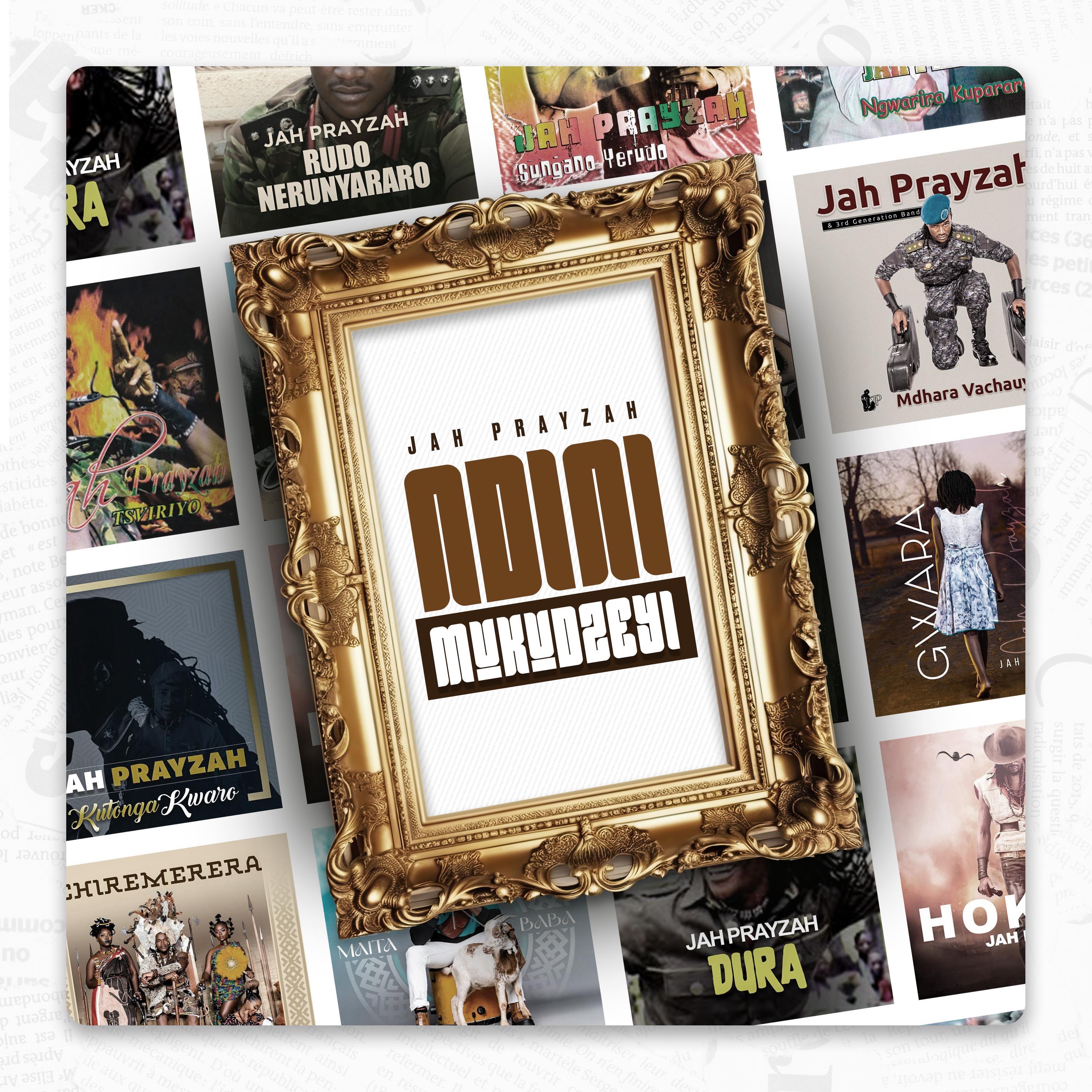 Ndini Mukudzeyi album cover