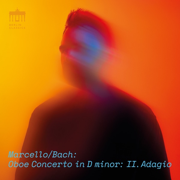 Marcello: Oboe Concerto in D Minor, S. Z799 (After BWV 974): II. Adagio [Arr. by Juri Vallentin] - S album cover