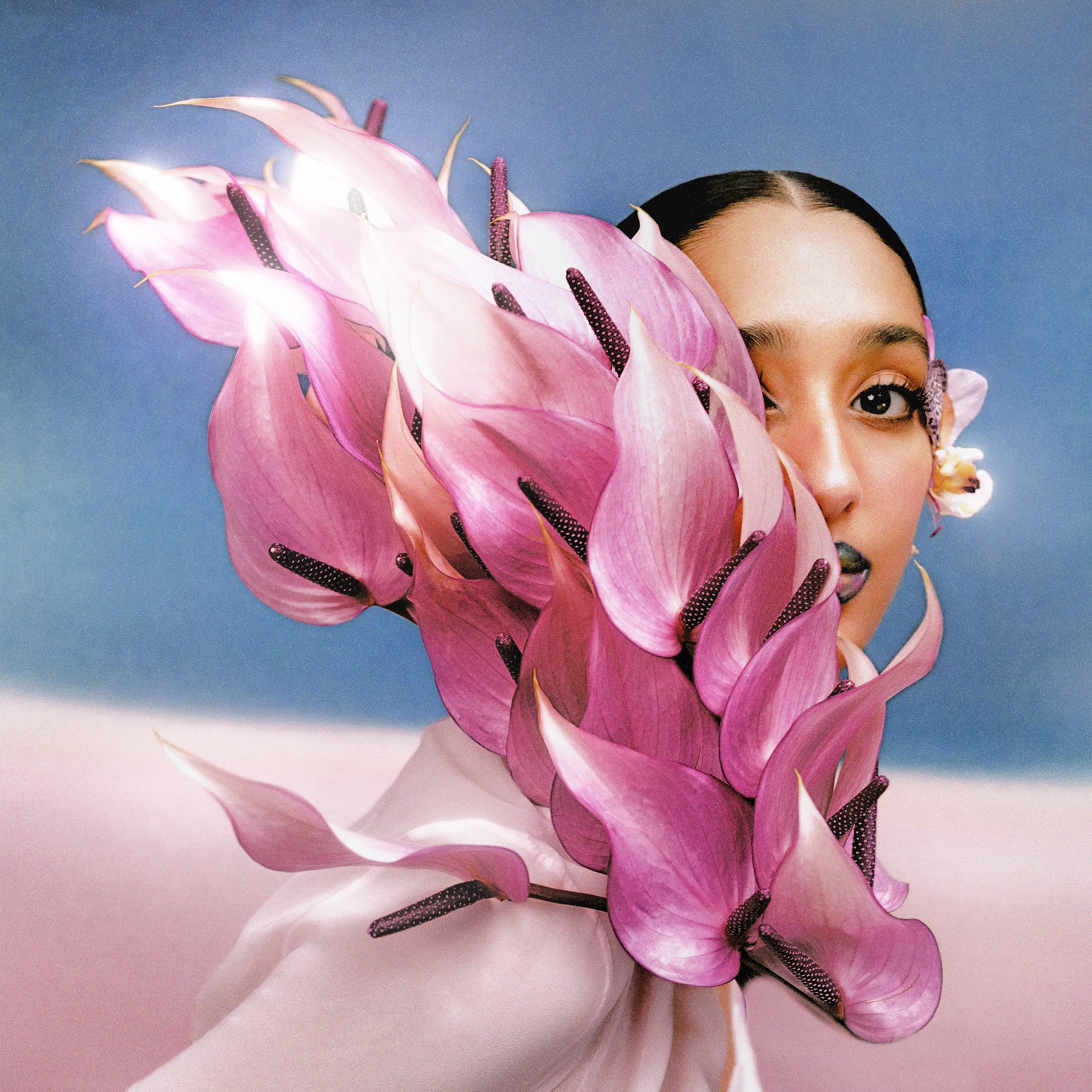 Where the Butterflies Go in the Rain album cover