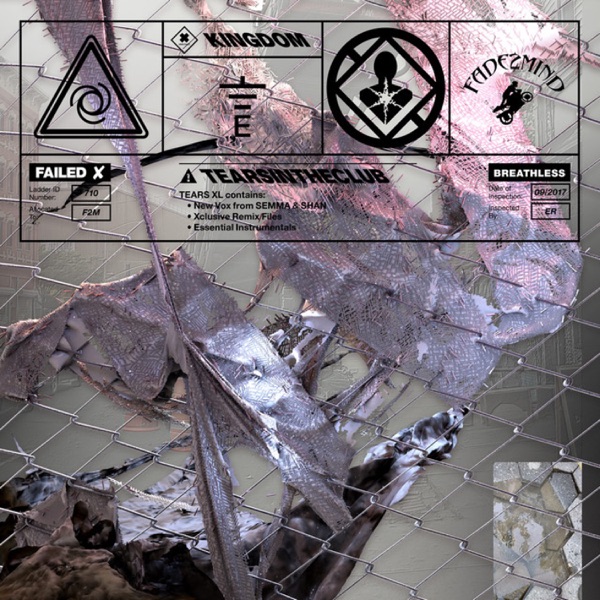 Into The Fold (Remix) [feat. Semma] - Single album cover