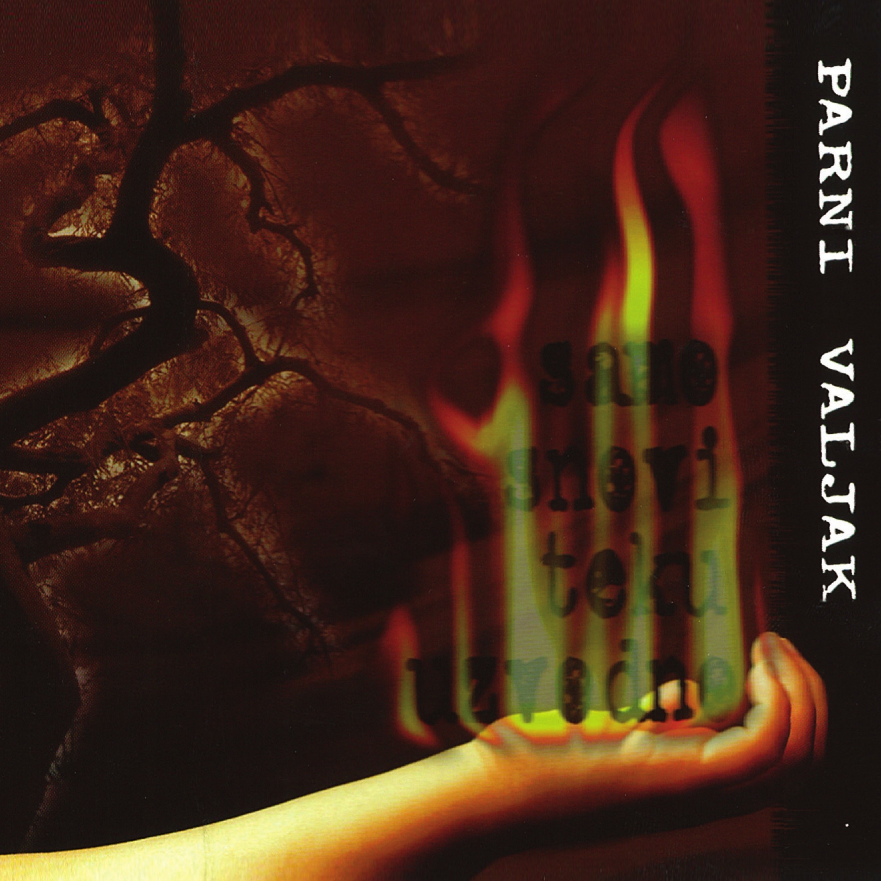 Samo snovi teku uzvodno album cover