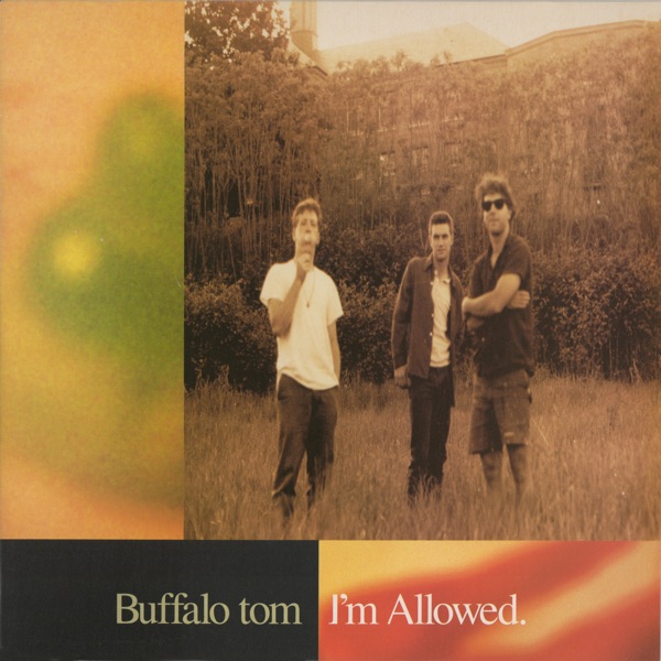 I'm Allowed - Single album cover
